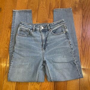 American Eagle Classic High Rise Mom Jean